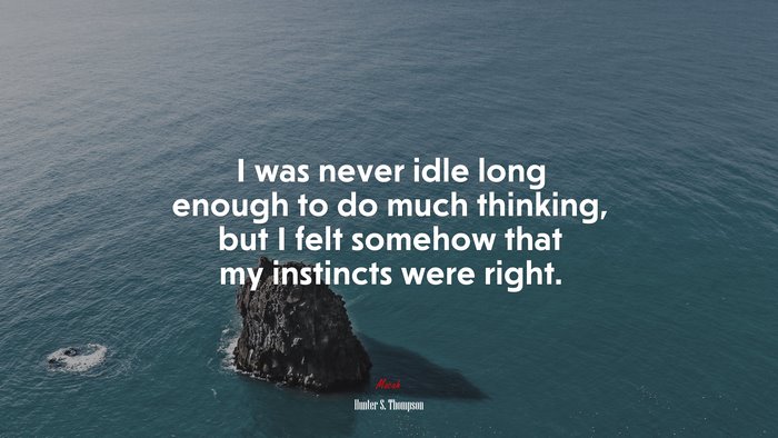 I was never idle long enough to do much thinking, but I felt somehow that my instincts were right. | Hunter S. Thompson quote