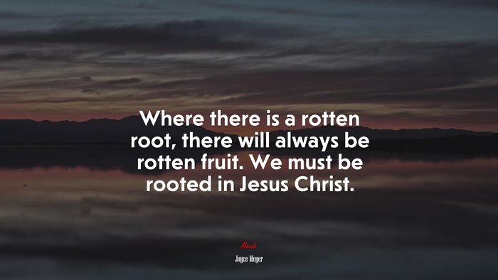Where there is a rotten root, there will always be rotten fruit. We must be rooted in Jesus Christ. | Joyce Meyer quote