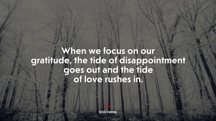 When we focus on our gratitude, the tide of disappointment goes out and the tide of love rushes in. | Kristin Armstrong quote