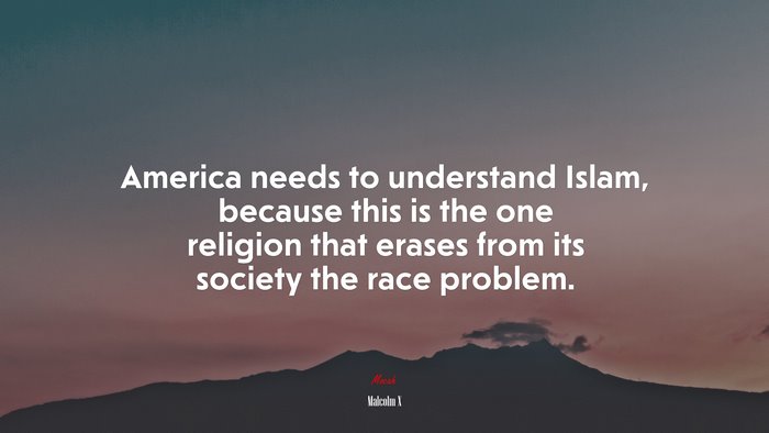 America needs to understand Islam, because this is the one religion that erases from its society the race problem. | Malcolm X quote