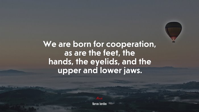 We are born for cooperation, as are the feet, the hands, the eyelids, and the upper and lower jaws. | Marcus Aurelius quote