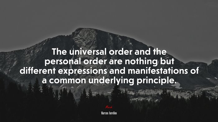 The universal order and the personal order are nothing but different expressions and manifestations of a common underlying principle. | Marcus Aurelius quote