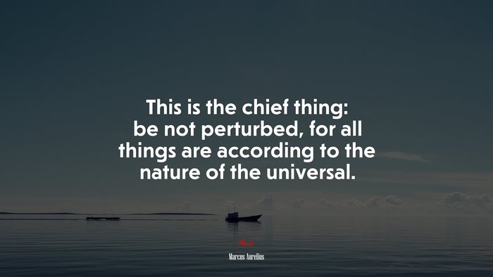 This is the chief thing: be not perturbed, for all things are according to the nature of the universal. | Marcus Aurelius quote