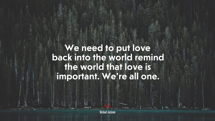 We need to put love back into the world remind the world that love is important. We’re all one. | Michael Jackson quote