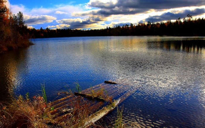Lake with trees and cloudy sky