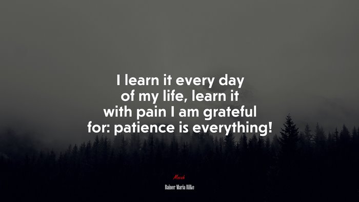 I learn it every day of my life, learn it with pain I am grateful for: patience is everything! | Rainer Maria Rilke quote
