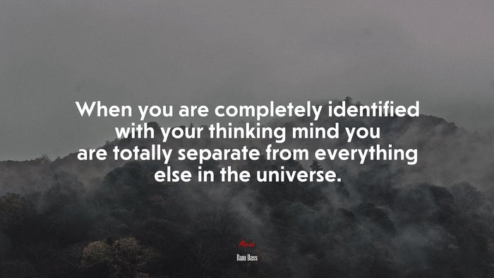 When you are completely identified with your thinking mind you are totally separate from everything else in the universe. | Ram Dass quote