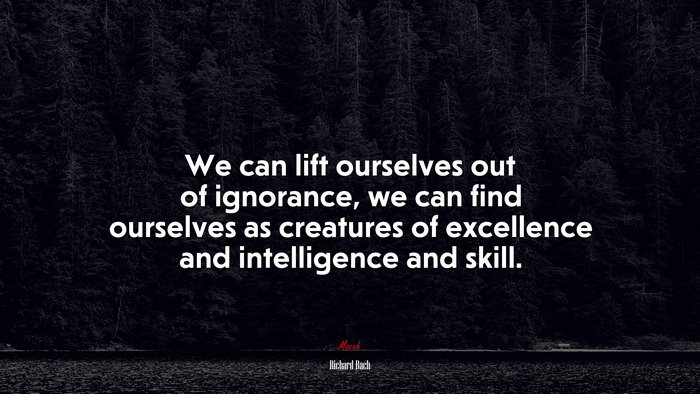 We can lift ourselves out of ignorance, we can find ourselves as creatures of excellence and intelligence and skill. | Richard Bach quote