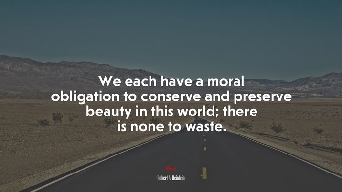 We each have a moral obligation to conserve and preserve beauty in this world; there is none to waste. | Robert A. Heinlein quote