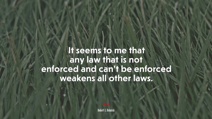It seems to me that any law that is not enforced and can’t be enforced weakens all other laws. | Robert A. Heinlein quote
