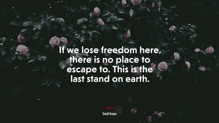 If we lose freedom here, there is no place to escape to. This is the last stand on earth. | Ronald Reagan quote