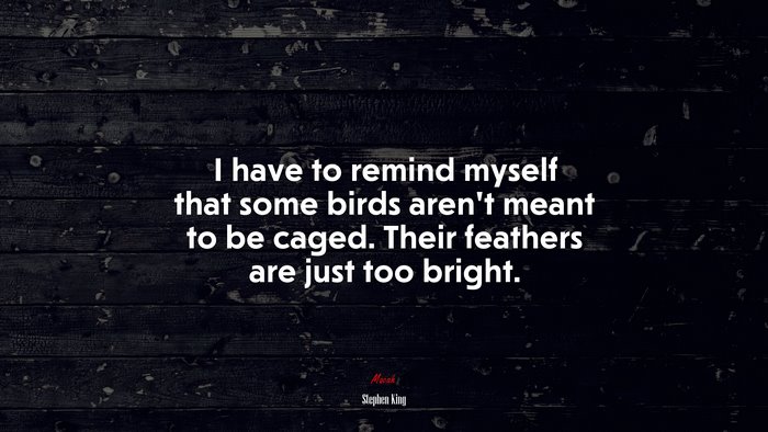 I have to remind myself that some birds aren’t meant to be caged. Their feathers are just too bright. | Stephen King quote