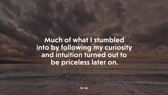 Much of what I stumbled into by following my curiosity and intuition turned out to be priceless later on. | Steve Jobs quote