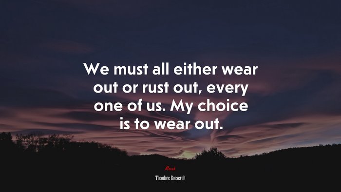 We must all either wear out or rust out, every one of us. My choice is to wear out. | Theodore Roosevelt quote