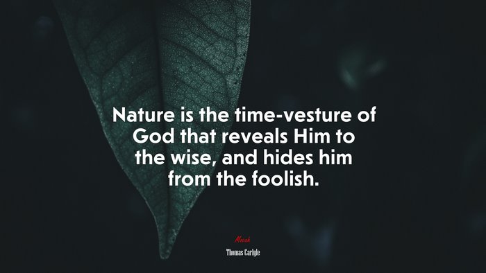 Nature is the time-vesture of God that reveals Him to the wise, and hides him from the foolish. | Thomas Carlyle quote