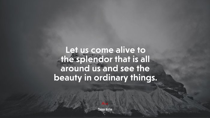 Let us come alive to the splendor that is all around us and see the beauty in ordinary things. | Thomas Merton quote
