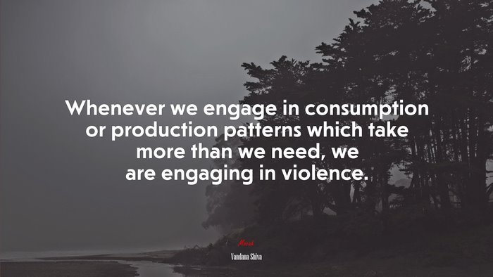 Whenever we engage in consumption or production patterns which take more than we need, we are engaging in violence. | Vandana Shiva quote