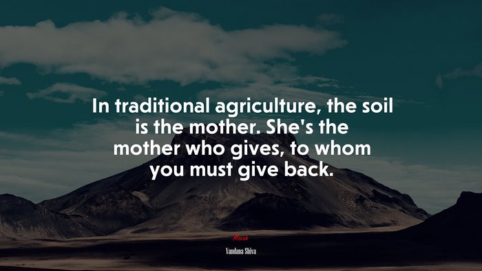 In traditional agriculture, the soil is the mother. She’s the mother who gives, to whom you must give back. | Vandana Shiva quote