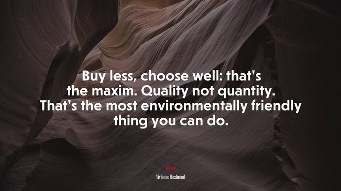 Buy less, choose well: that’s the maxim. Quality not quantity. That’s the most environmentally friendly thing you can do. | Vivienne Westwood quote