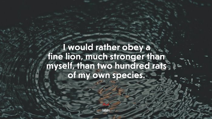 I would rather obey a fine lion, much stronger than myself, than two hundred rats of my own species. | Voltaire quote
