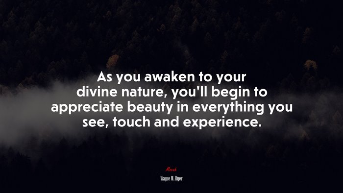 As you awaken to your divine nature, you’ll begin to appreciate beauty in everything you see, touch and experience. | Wayne W. Dyer quote
