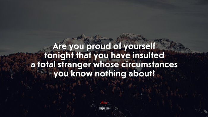 Are you proud of yourself tonight that you have insulted a total stranger whose circumstances you know nothing about? | Harper Lee quote