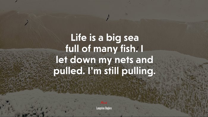 Life is a big sea full of many fish. I let down my nets and pulled. I’m still pulling. | Langston Hughes quote
