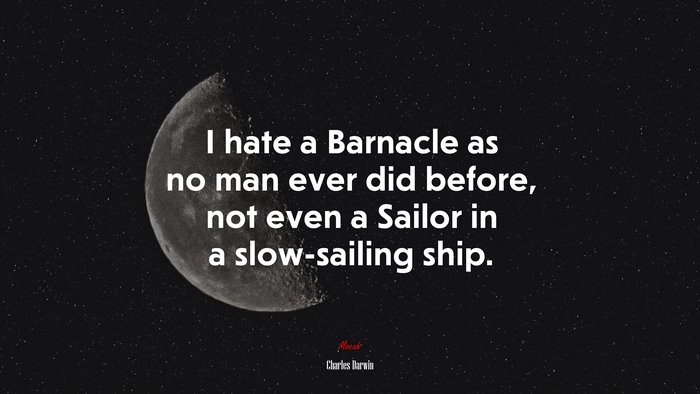 I Hate A Barnacle As No Man Ever Did Before, Not Even A Sailor In A ...