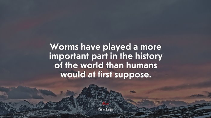 Worms have played a more important part in the history of the world than humans would at first suppose. | Charles Darwin quote