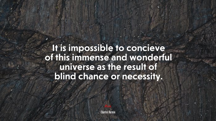 It is impossible to concieve of this immense and wonderful universe as the result of blind chance or necessity. | Charles Darwin quote