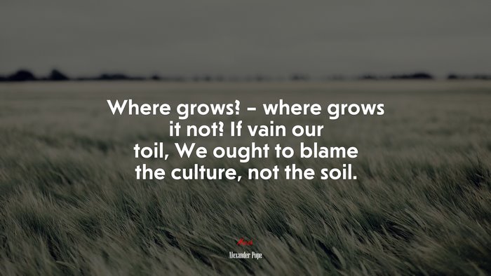 Where grows? – where grows it not? If vain our toil, We ought to blame the culture, not the soil. | Alexander Pope quote