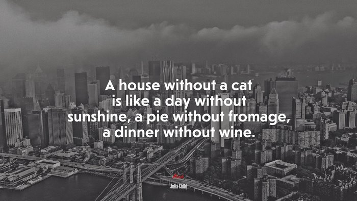 A house without a cat is like a day without sunshine, a pie without fromage, a dinner without wine. | Julia Child quote
