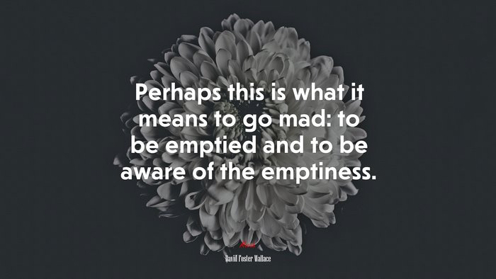Perhaps this is what it means to go mad: to be emptied and to be aware of the emptiness. | David Foster Wallace quote