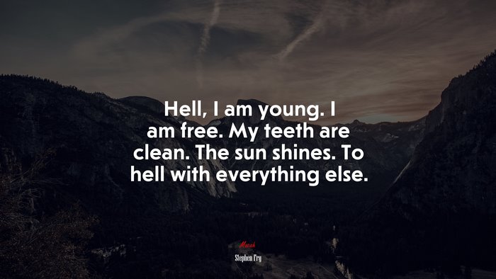 Hell, I am young. I am free. My teeth are clean. The sun shines. To hell with everything else. | Stephen Fry quote