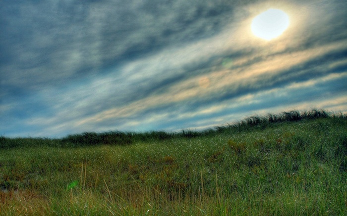 Grassy dunes under a cloudy sky with the sun shining