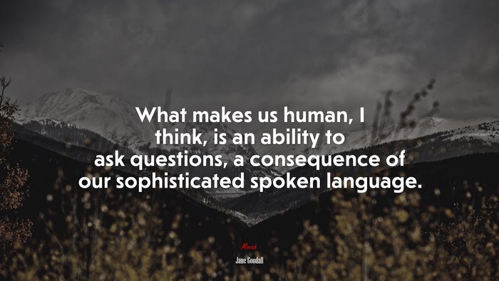 What makes us human, I think, is an ability to ask questions, a consequence of our sophisticated spoken language. | Jane Goodall quote