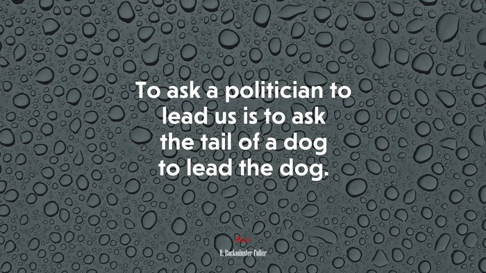 To ask a politician to lead us is to ask the tail of a dog to lead the dog. | R. Buckminster Fuller quote