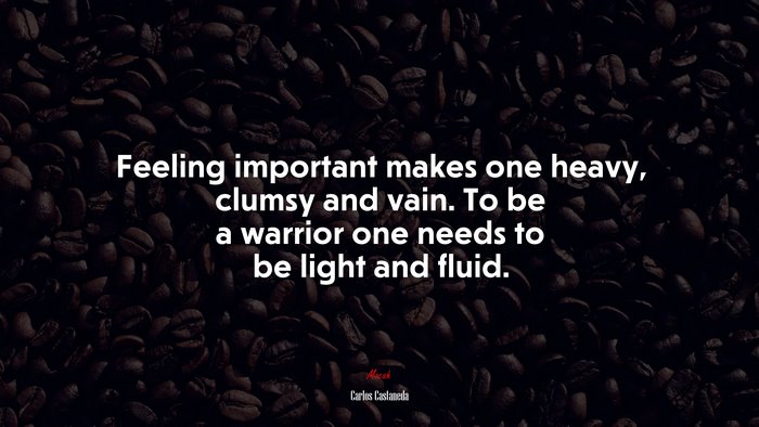 Feeling important makes one heavy, clumsy and vain. To be a warrior one needs to be light and fluid. | Carlos Castaneda quote