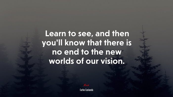 Learn to see, and then you’ll know that there is no end to the new worlds of our vision. | Carlos Castaneda quote