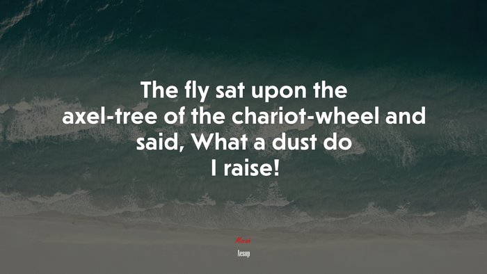 The fly sat upon the axel-tree of the chariot-wheel and said, What a dust do I raise! | Aesop quote