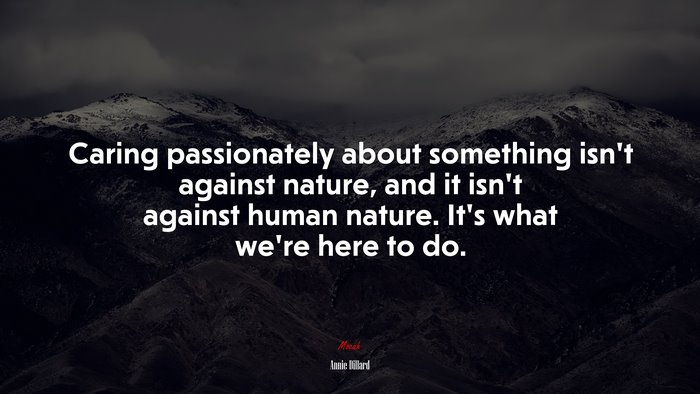 Caring passionately about something isn’t against nature, and it isn’t against human nature. It’s what we’re here to do. | Annie Dillard quote