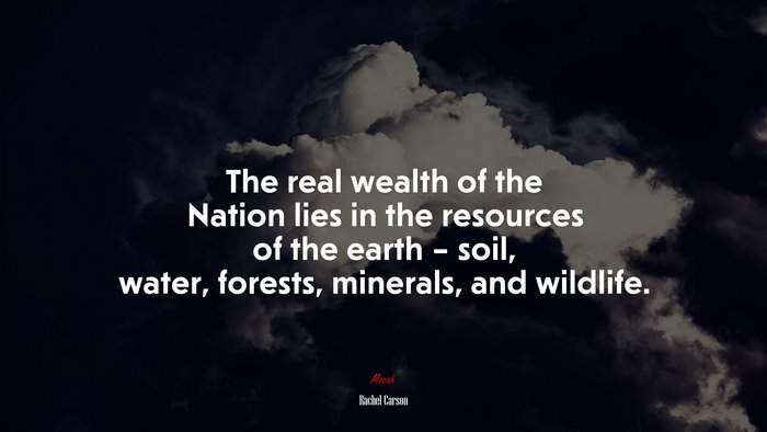 The real wealth of the Nation lies in the resources of the earth – soil, water, forests, minerals, and wildlife. | Rachel Carson quote