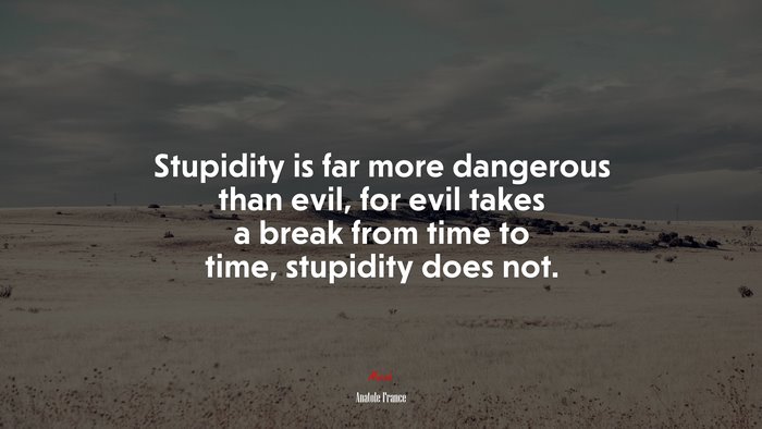 Stupidity is far more dangerous than evil, for evil takes a break from time to time, stupidity does not. | Anatole France quote