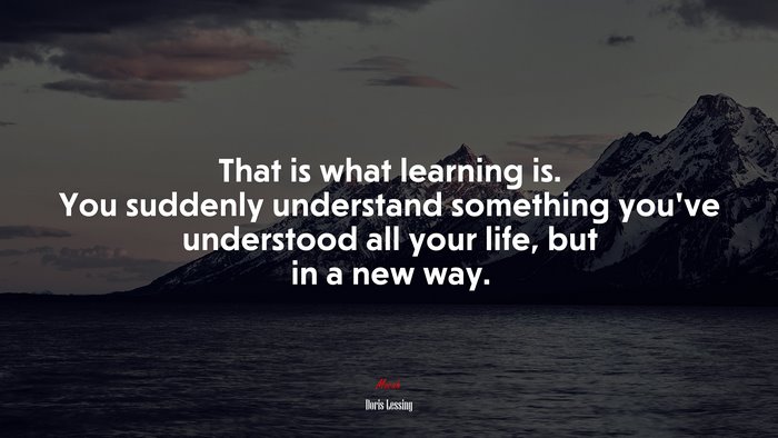 That is what learning is. You suddenly understand something you’ve understood all your life, but in a new way. | Doris Lessing quote