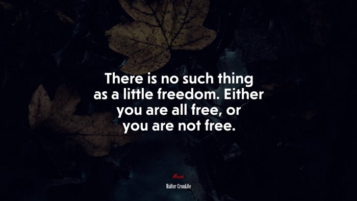 There is no such thing as a little freedom. Either you are all free, or you are not free. | Walter Cronkite quote
