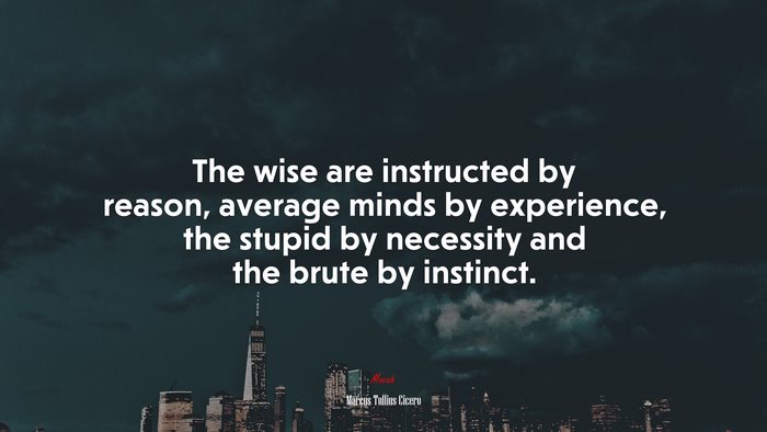 The wise are instructed by reason, average minds by experience, the stupid by necessity and the brute by instinct. | Marcus Tullius Cicero quote