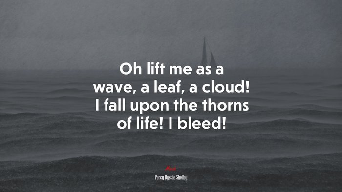 Oh lift me as a wave, a leaf, a cloud! I fall upon the thorns of life! I bleed! | Percy Bysshe Shelley quote
