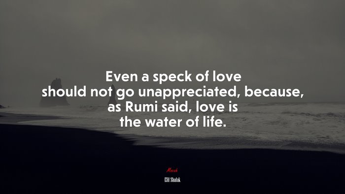 Even a speck of love should not go unappreciated, because, as Rumi said, love is the water of life. | Elif Shafak quote