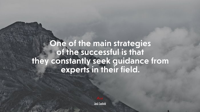 One of the main strategies of the successful is that they constantly seek guidance from experts in their field. | Jack Canfield quote