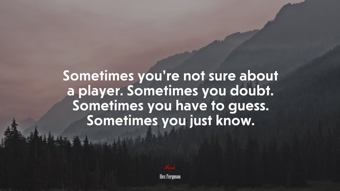 Sometimes you’re not sure about a player. Sometimes you doubt. Sometimes you have to guess. Sometimes you just know. | Alex Ferguson quote